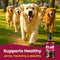 Glucosamine Hip and Joint Supplement Chondroitin Drops for Dogs - 60ml