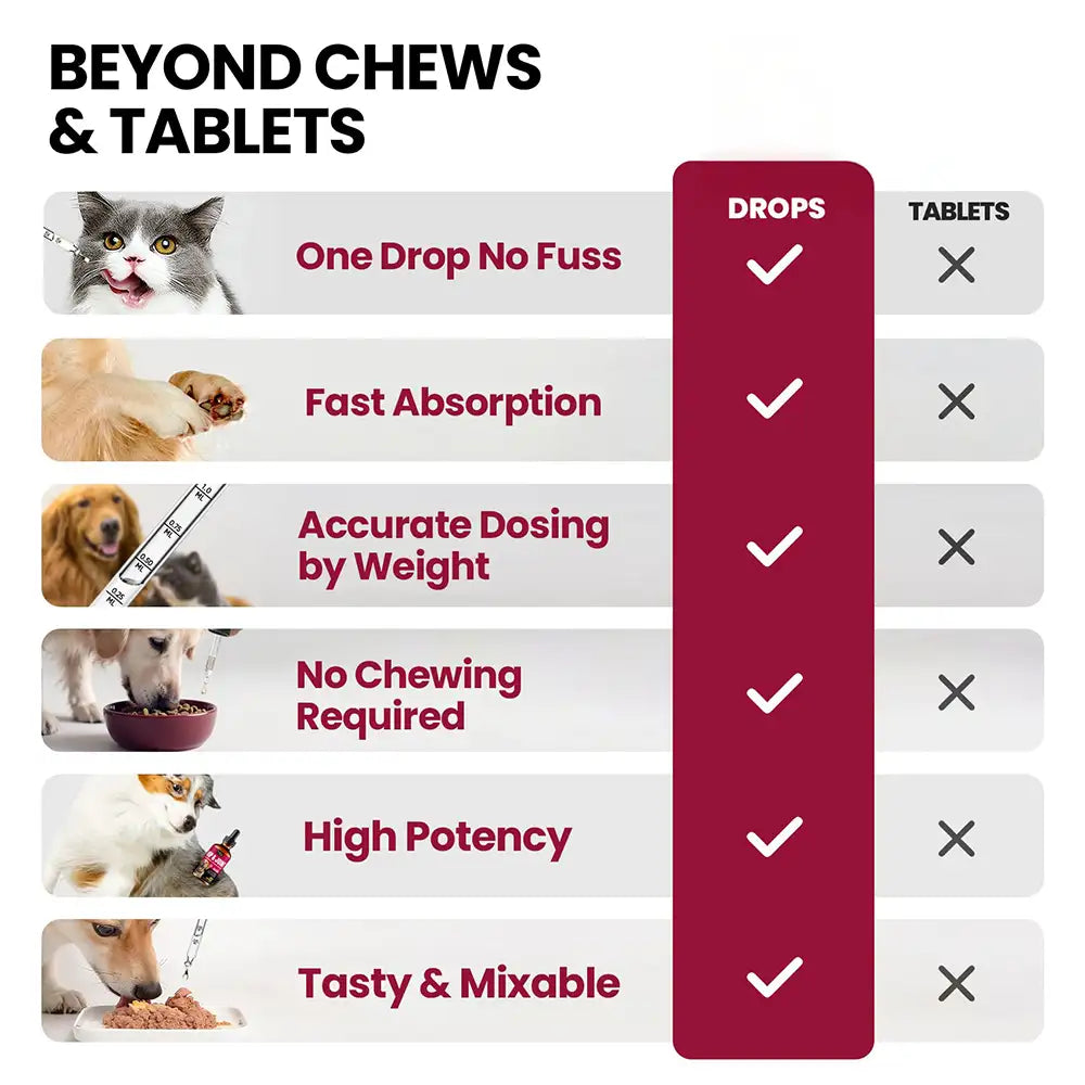 Glucosamine Hip and Joint Supplement Chondroitin Drops for Dogs - 60ml