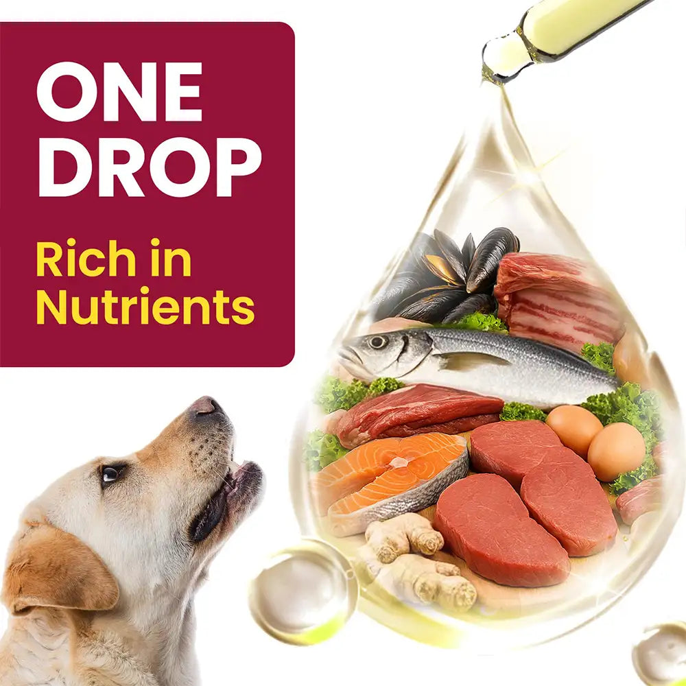 Glucosamine Hip and Joint Supplement Chondroitin Drops for Dogs - 60ml