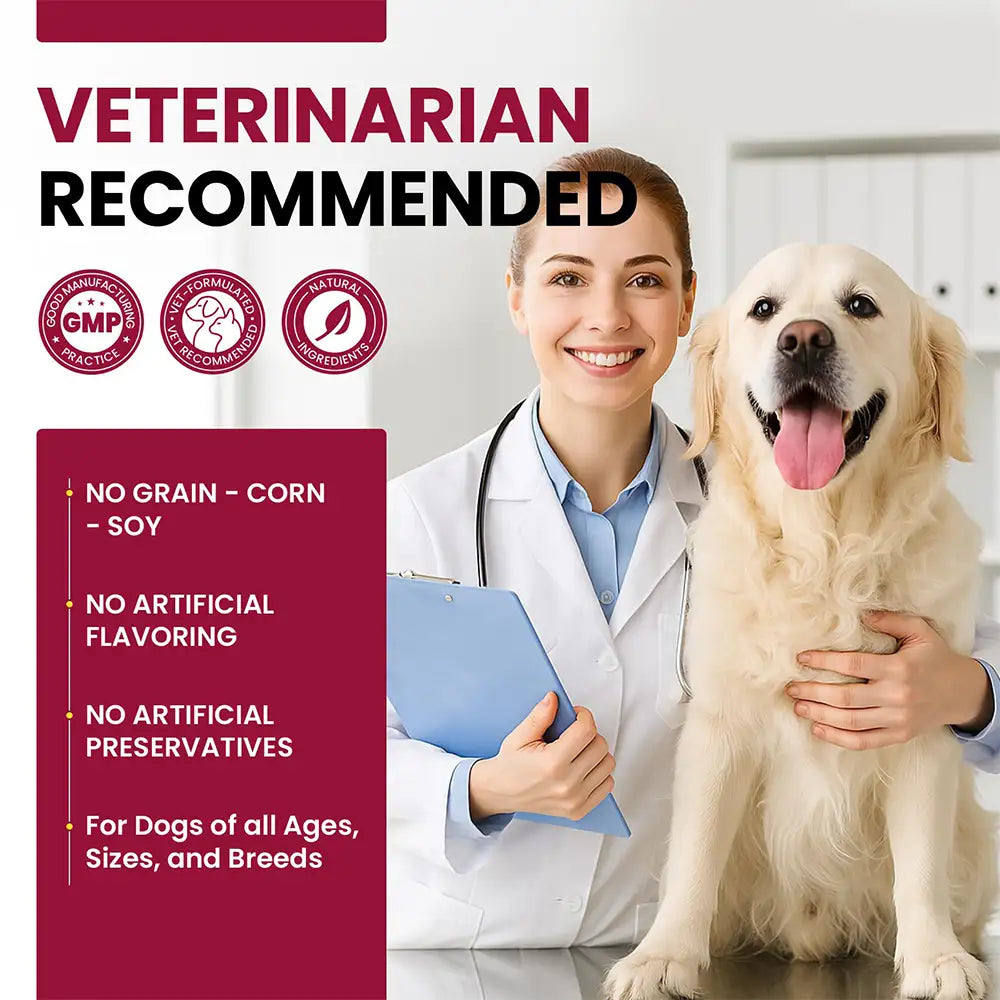 Glucosamine Hip and Joint Supplement Chondroitin Drops for Dogs - 60ml