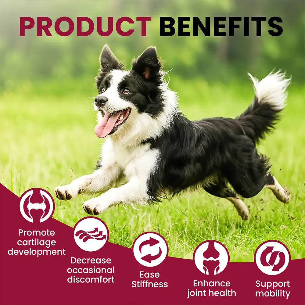 Glucosamine Hip and Joint Supplement Chondroitin Drops for Dogs - 60ml