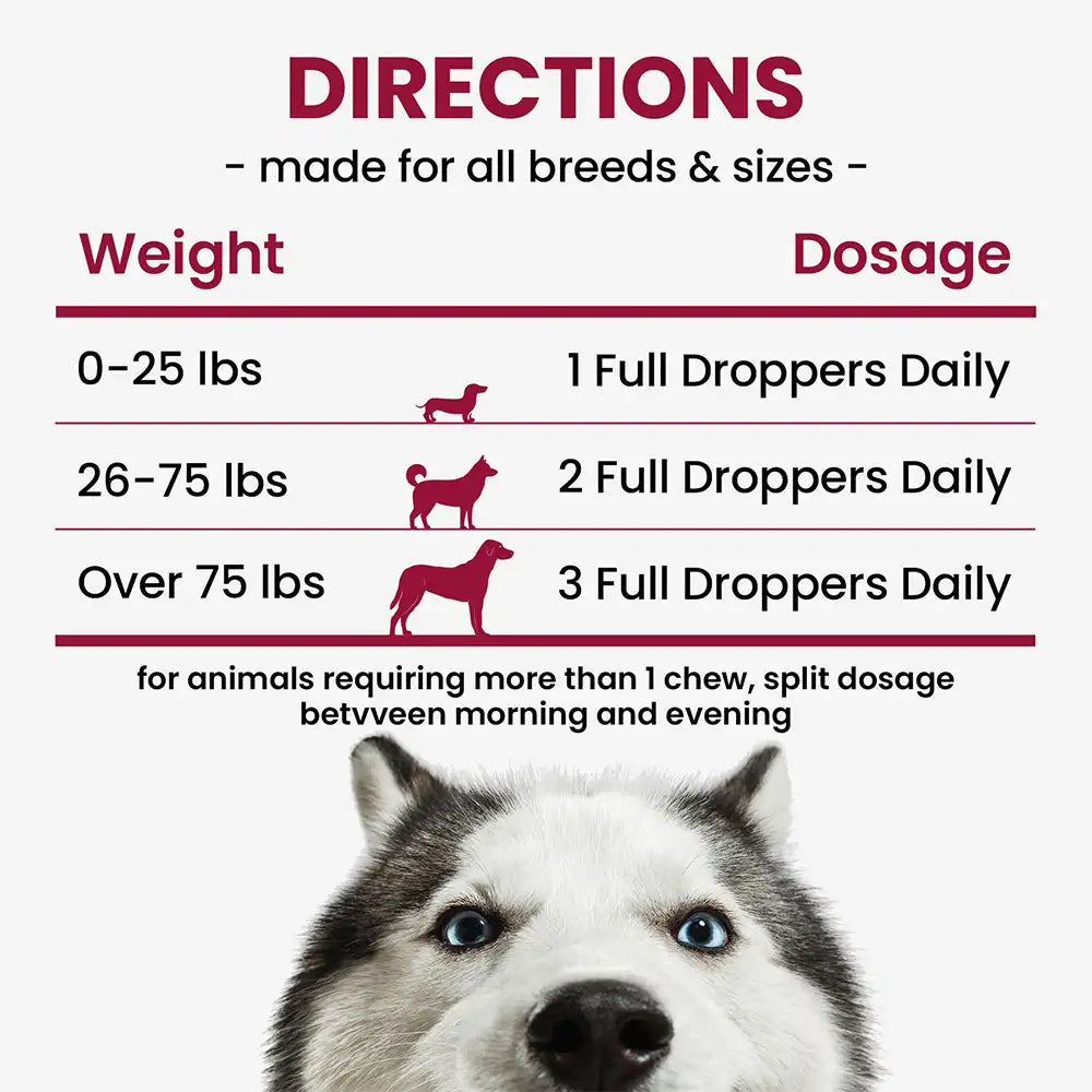 Glucosamine Hip and Joint Supplement Chondroitin Drops for Dogs - 60ml