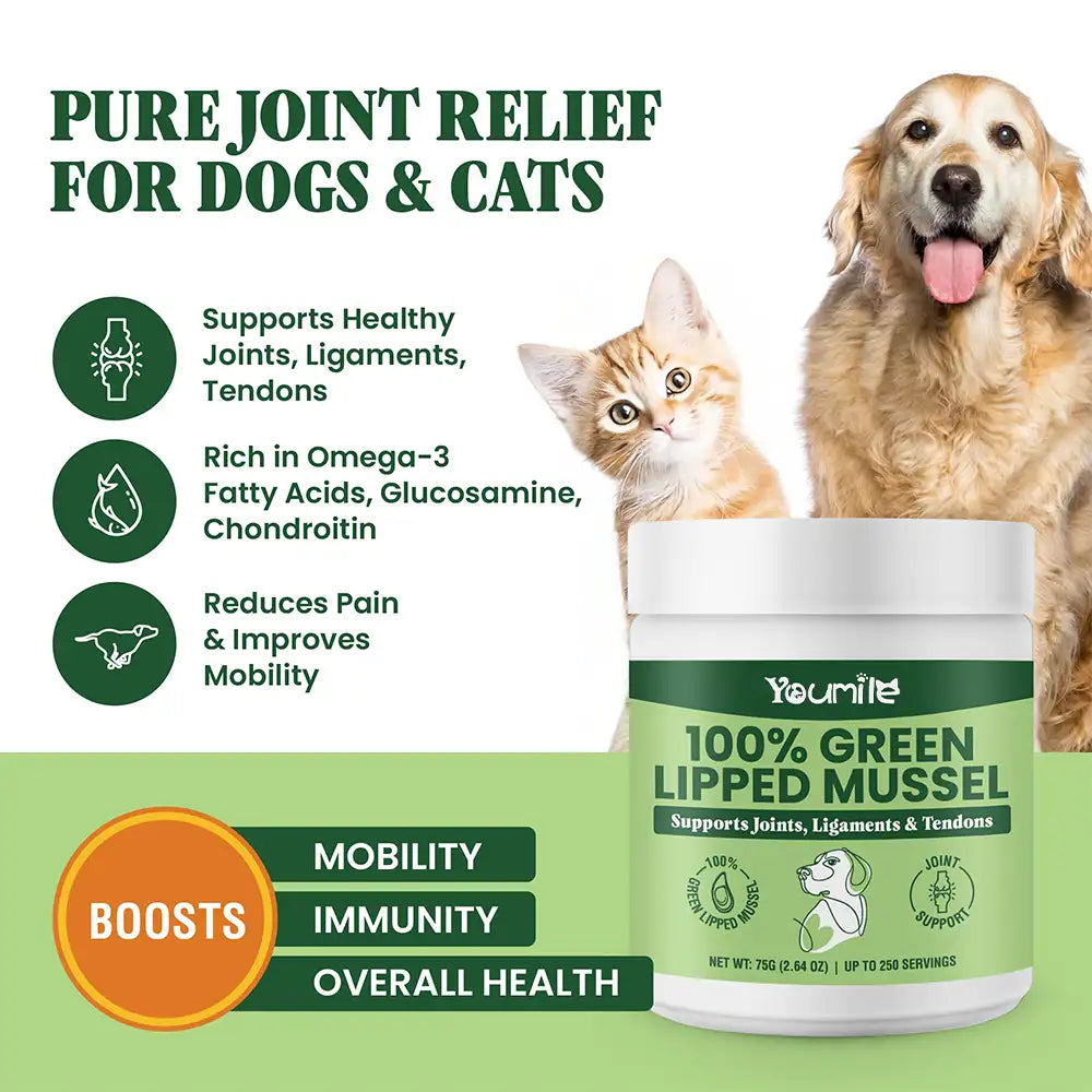 Green Lipped Mussel Powder for Dogs and Cats - Natural Hip & Joint Supplement