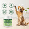 Green Lipped Mussel Powder for Dogs and Cats - Natural Hip & Joint Supplement