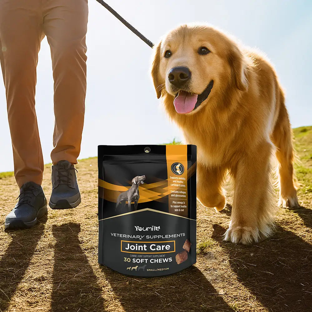 Hip and Joint Health Supplement Chews for Large Dogs – 30 Count Pouch for Glucosamine Support