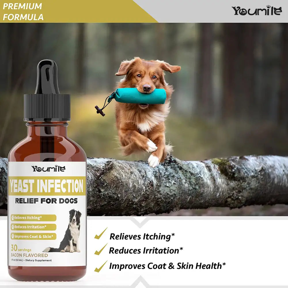 Itchy Skin & Ear Treatment Relieves Itching and Allergy - Yeast Infection Drops Supplement for Dogs