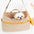 Large Soft Portable Travel Dog & Cat Carrier Bag