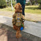 Military-Style Tactical Dog Vest with Adjustable Straps