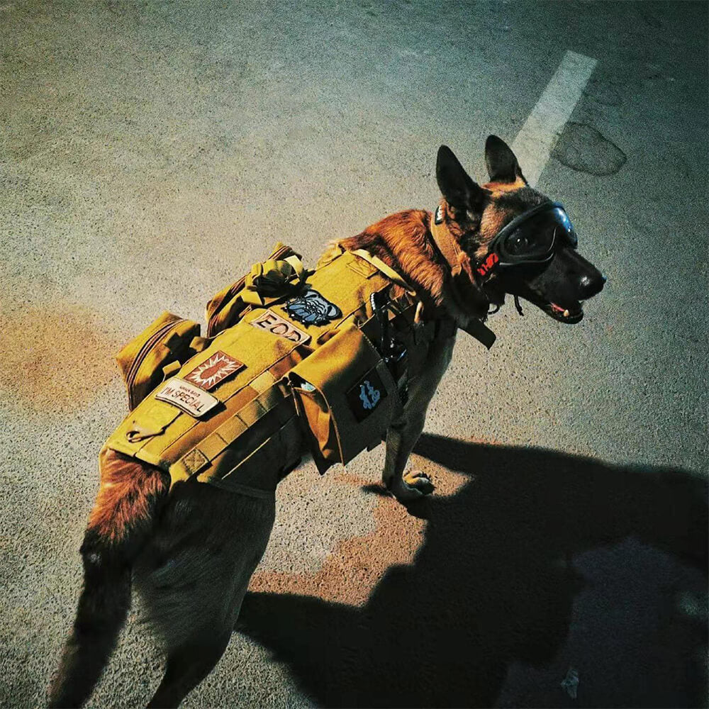 Military-Style Tactical Dog Vest with Adjustable Straps