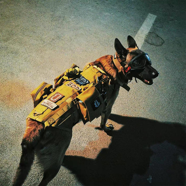 Military-Style Tactical Dog Vest with Adjustable Straps
