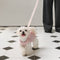 Multifunctional Carrier & Walk Vest Dog Harness Backpack for Small Dog