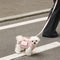 Multifunctional Carrier & Walk Vest Dog Harness Backpack for Small Dog