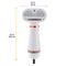 Multifunctional Combing Brush Pet Hair Dryer with Steam