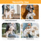 Multifunctional Portable Traction Cross-body Small Dog Carrier Backpack