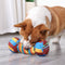 Regenbogen-Hantel, interaktives, quietschendes, langlebiges Seil-Hundespielzeug