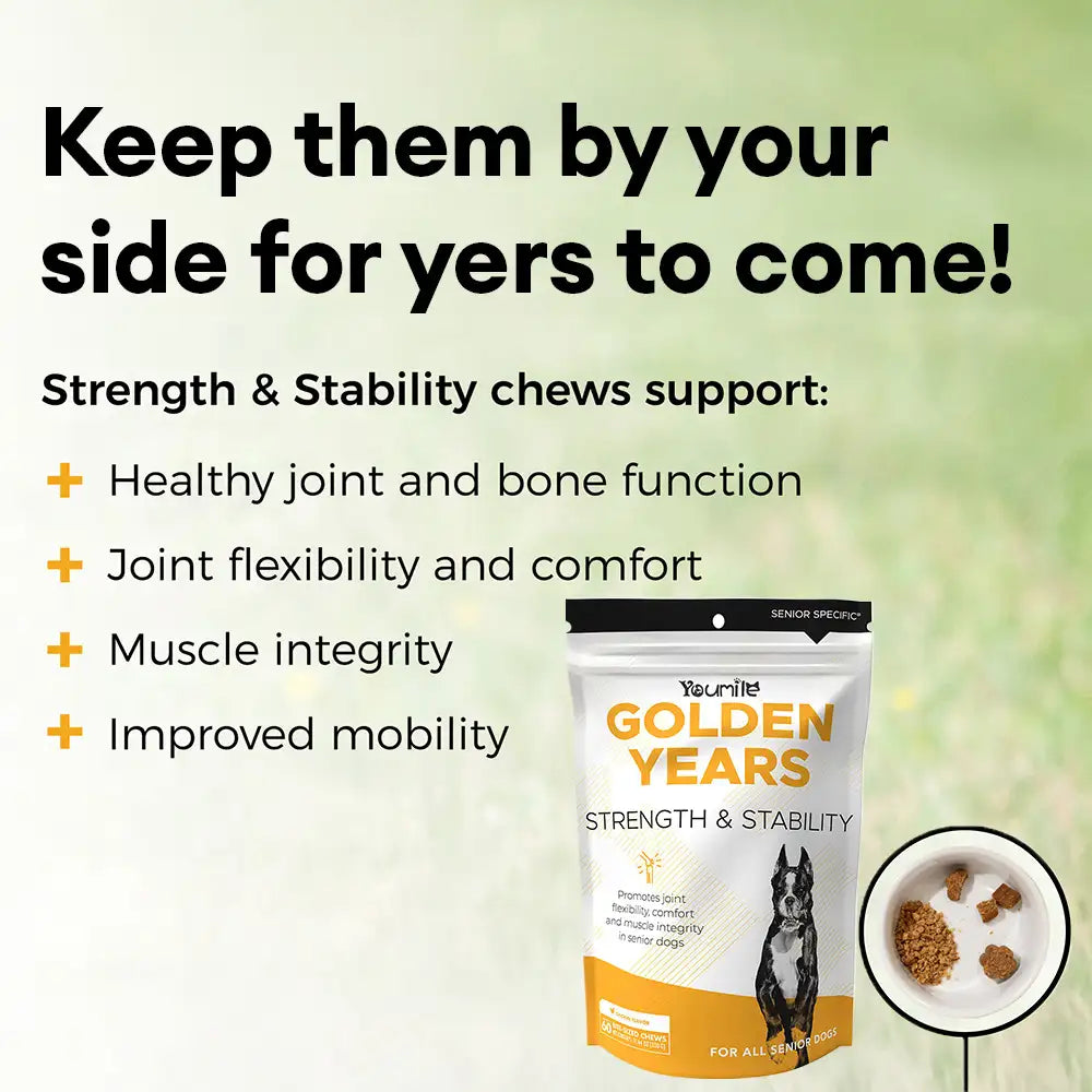 Senior Dog Daily Multivitamin Chews – 60 Count Pouch for Mobility, Hip & Joint Health, Strength
