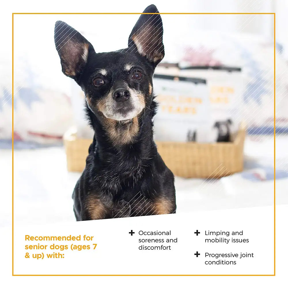 Senior Dog Daily Multivitamin Chews – 60 Count Pouch for Mobility, Hip & Joint Health, Strength