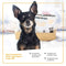 Senior Dog Daily Multivitamin Chews – 60 Count Pouch for Mobility, Hip & Joint Health, Strength
