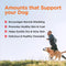 Shed-Defense Skin & Coat Supplement for Dogs – 60 Count Pouch with Omega-3 Fish Oil