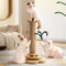Sturdy Cat Scratching Post with Rotating Track and Teaser Ball