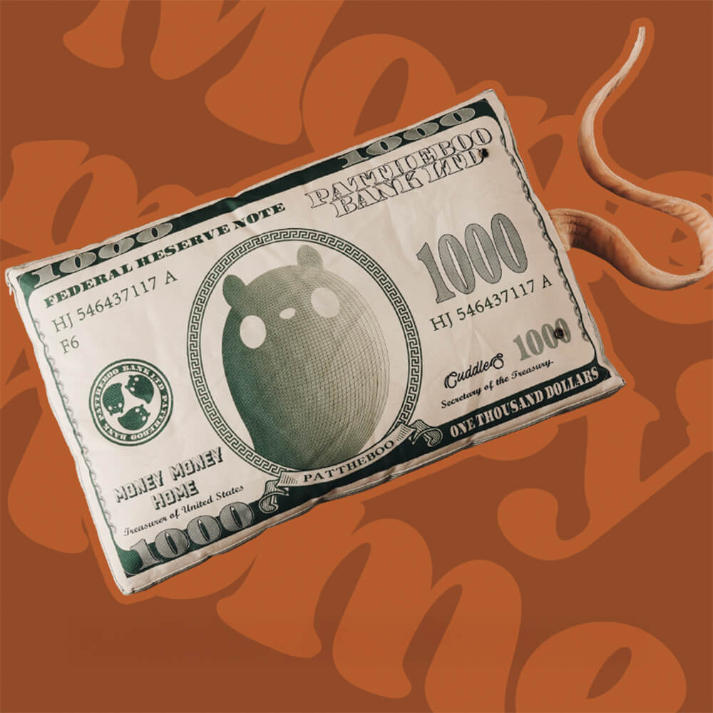 Durable Canvas Money-Themed Cat Bed
