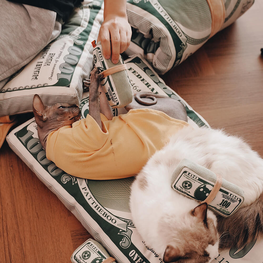 Durable Canvas Money-Themed Cat Bed