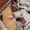 Durable Canvas Money-Themed Cat Bed