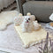 Floral Ice Silk Dog & Cat Cooling Mat Neck Support with Pillow