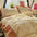Romantic Colorblock Double Cotton Lace Bed Sheet Set