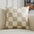 Geometric Labyrinth Check Velvet Throw Pillow