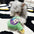 Halloween Fun Medicine Bottle Toy Dog Teething Plush Toy