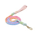 Handwoven Leather Fashion No Pull Dog Collar And Leash