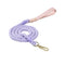 Handwoven Leather Fashion No Pull Dog Collar And Leash