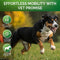 Hip & Joint Glucosamine Supplement for Dogs - Supports Mobility and Pain Relief Naturally
