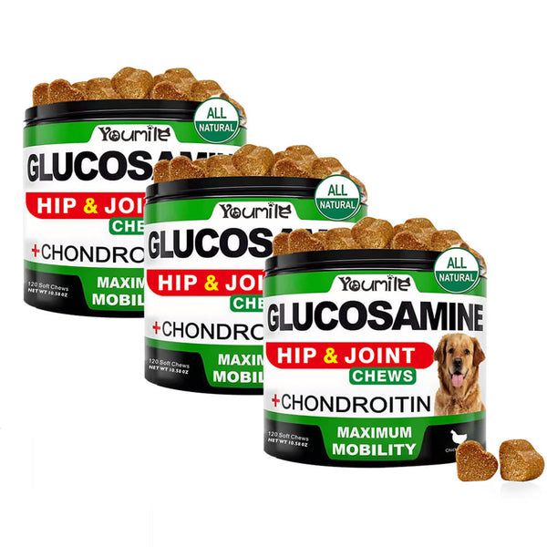 Hip & Joint Glucosamine Supplement for Dogs - Supports Mobility and Pain Relief Naturally