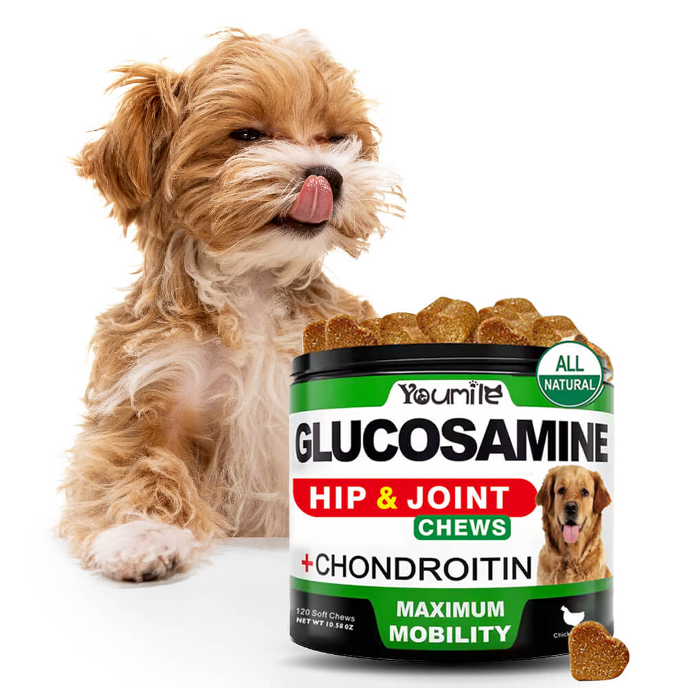 Hip & Joint Glucosamine Supplement for Dogs - Supports Mobility and Pain Relief Naturally