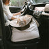 Large Convertible Water-Resistant Safety Dog Car Booster Seat & Carrier - Urban Rover