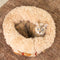 Large Reversible All-Season Indie Boho Cat Carrier - Wondernap