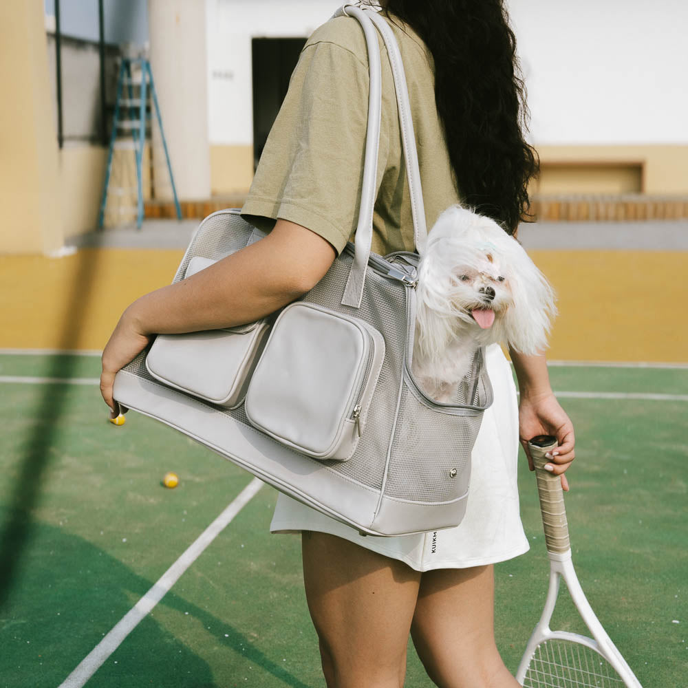 Lightweight Breathable Mesh Safe Pet Carrier - Urban Ease