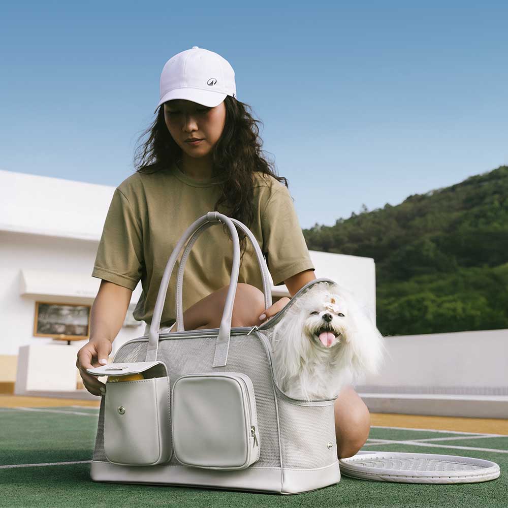 Lightweight Breathable Mesh Safe Pet Carrier - Urban Ease