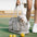 Lightweight Breathable Mesh Safe Pet Carrier - Urban Ease