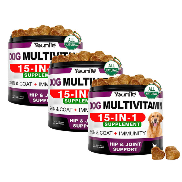 Multivitamin Soft Chews for Dogs - Daily Supplement for Overall Health and Wellness