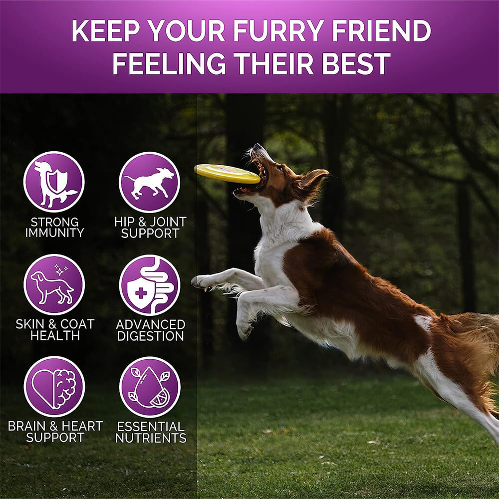 Multivitamin Soft Chews for Dogs - Daily Supplement for Overall Health and Wellness