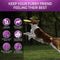 Multivitamin Soft Chews for Dogs - Daily Supplement for Overall Health and Wellness