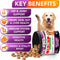 Multivitamin Soft Chews for Dogs - Daily Supplement for Overall Health and Wellness