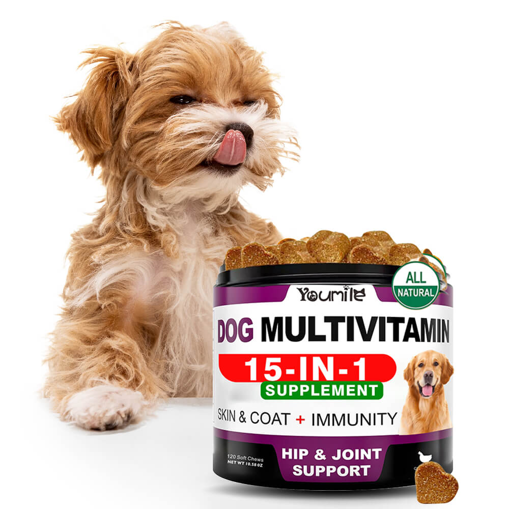 Multivitamin Soft Chews for Dogs - Daily Supplement for Overall Health and Wellness