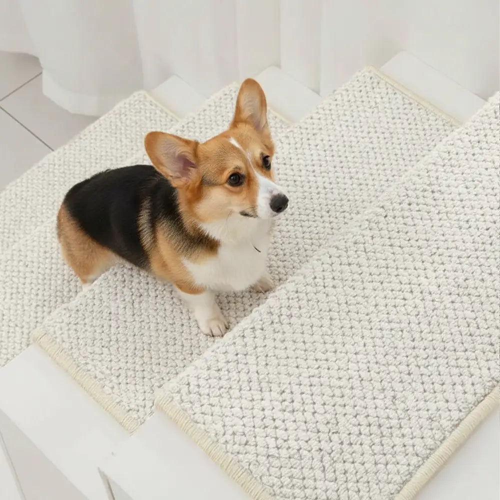 Escaleras de lana de lana de Nueva Zelanda cinta cinta adhesiva para alfombras de alfombra lavables