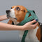 Nylon Adjustable Reflective No-Pull Dog Harness Collar and Leash
