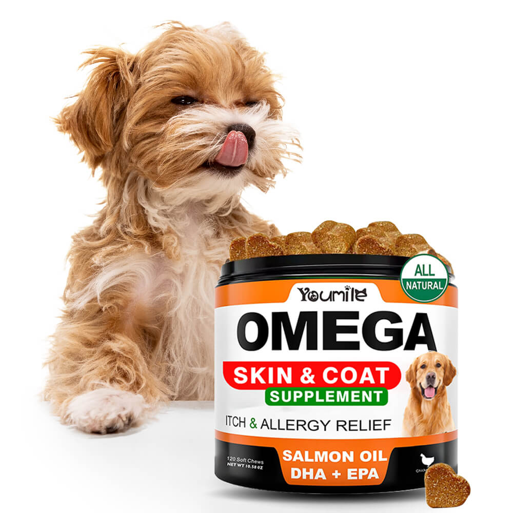 Omega-3 Fish Oil Supplement for Dogs - Supports Coat & Skin Health