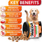 Omega-3 Fish Oil Supplement for Dogs - Supports Coat & Skin Health